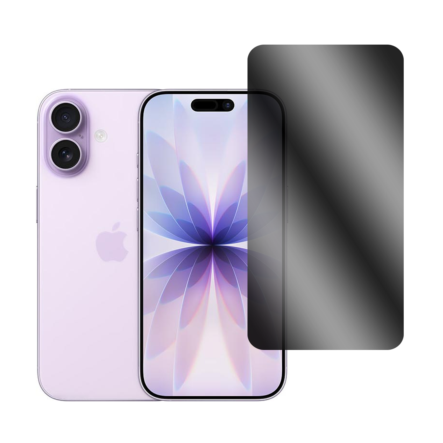 Microcase Iphone 17 Privacy Gizlilik Filtreli Tam Kaplayan Tempered Cam-AL3125