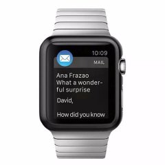 Apple Watch 1 - 2 - 3 Seri 42 mm Rubber Kılıf